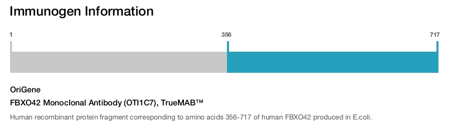 FBXO42 Monoclonal Antibody (OTI1C7), TrueMAB&trade;