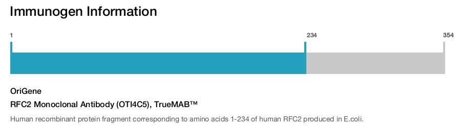 RFC2 Monoclonal Antibody (OTI4C5), TrueMAB&trade;