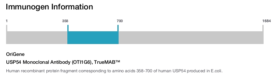 USP54 Monoclonal Antibody (OTI1G6), TrueMAB&trade;