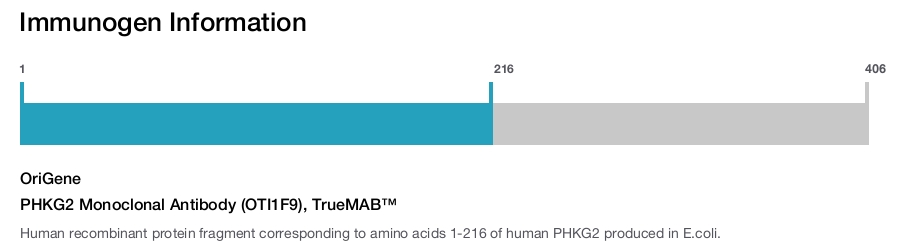 PHKG2 Monoclonal Antibody (OTI1F9), TrueMAB&trade;