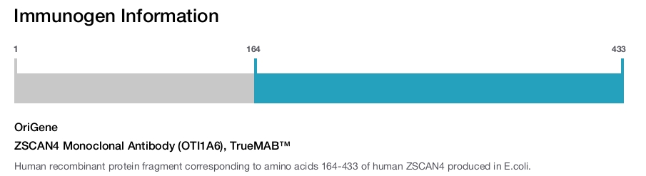 ZSCAN4 Monoclonal Antibody (OTI1A6), TrueMAB&trade;