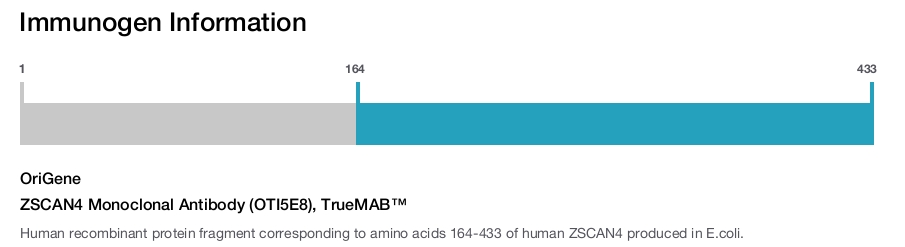 ZSCAN4 Monoclonal Antibody (OTI5E8), TrueMAB&trade;