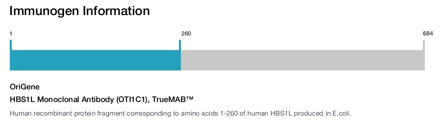 HBS1L Monoclonal Antibody (OTI1C1), TrueMAB&trade;