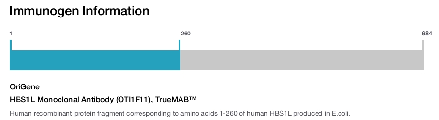 HBS1L Monoclonal Antibody (OTI1F11), TrueMAB&trade;