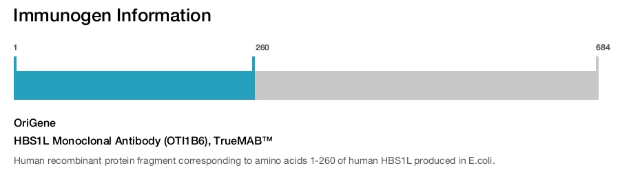 HBS1L Monoclonal Antibody (OTI1B6), TrueMAB&trade;