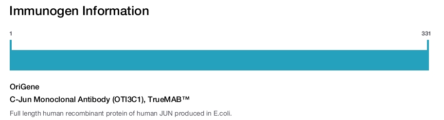 C-Jun Monoclonal Antibody (OTI3C1), TrueMAB&trade;