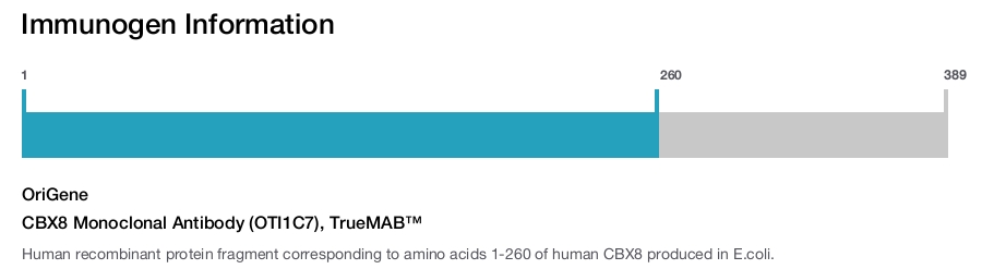 CBX8 Monoclonal Antibody (OTI1C7), TrueMAB&trade;