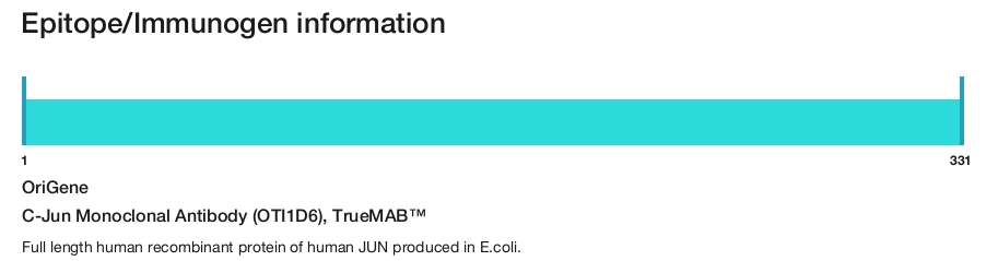 C-Jun Monoclonal Antibody (OTI1D6), TrueMAB&trade;
