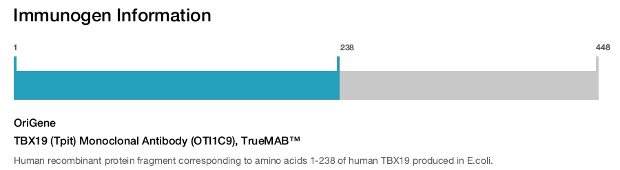 TBX19 (Tpit) Monoclonal Antibody (OTI1C9), TrueMAB&trade;