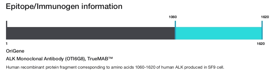 ALK Monoclonal Antibody (OTI6G8), TrueMAB&trade;