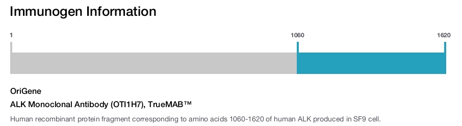 ALK Monoclonal Antibody (OTI1H7), TrueMAB&trade;