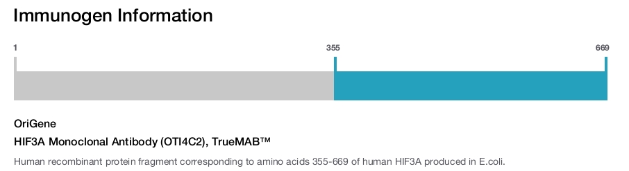 HIF3A Monoclonal Antibody (OTI4C2), TrueMAB&trade;