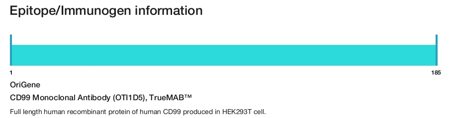 CD99 Monoclonal Antibody (OTI1D5), TrueMAB&trade;