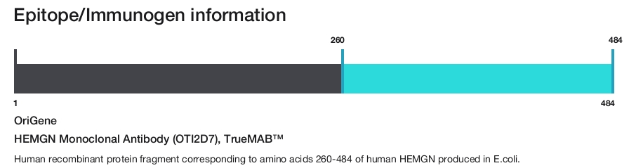 HEMGN Monoclonal Antibody (OTI2D7), TrueMAB&trade;