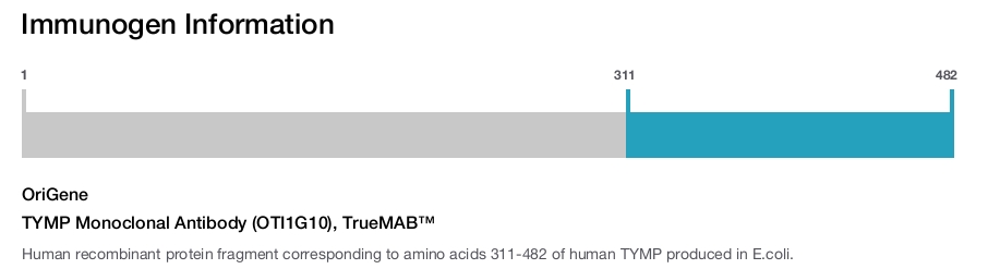 TYMP Monoclonal Antibody (OTI1G10), TrueMAB&trade;