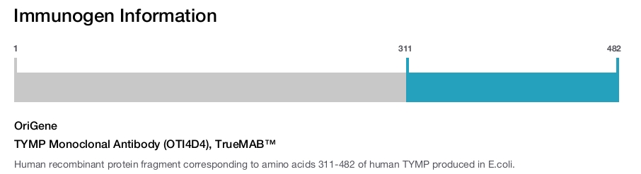 TYMP Monoclonal Antibody (OTI4D4), TrueMAB&trade;