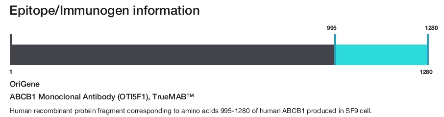 ABCB1 Monoclonal Antibody (OTI5F1), TrueMAB&trade;