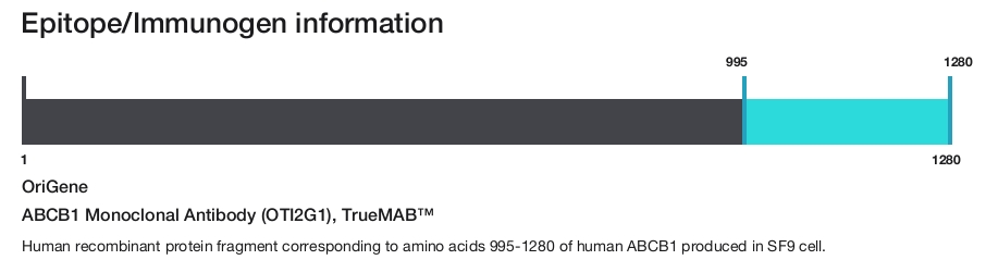 ABCB1 Monoclonal Antibody (OTI2G1), TrueMAB&trade;