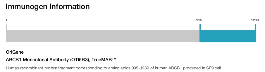 ABCB1 Monoclonal Antibody (OTI5B3), TrueMAB&trade;