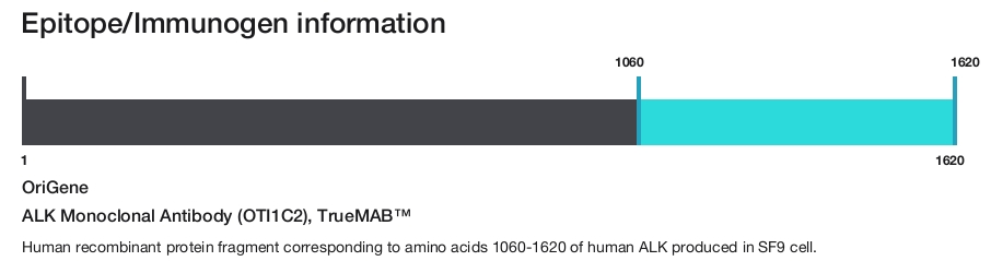 ALK Monoclonal Antibody (OTI1C2), TrueMAB&trade;