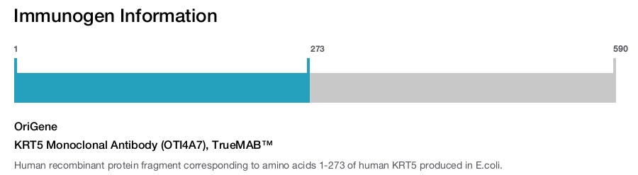 KRT5 Monoclonal Antibody (OTI4A7), TrueMAB&trade;