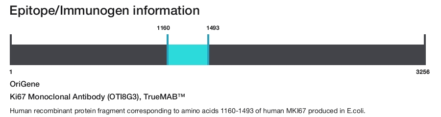 Ki67 Monoclonal Antibody (OTI8G3), TrueMAB&trade;