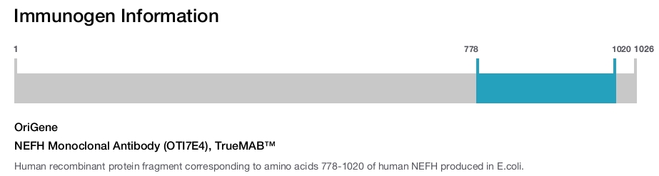 NEFH Monoclonal Antibody (OTI7E4), TrueMAB&trade;