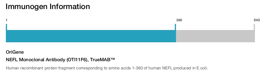 NEFL Monoclonal Antibody (OTI11F6), TrueMAB&trade;