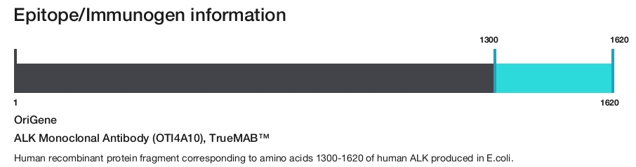 ALK Monoclonal Antibody (OTI4A10), TrueMAB&trade;