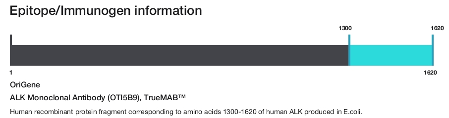 ALK Monoclonal Antibody (OTI5B9), TrueMAB&trade;