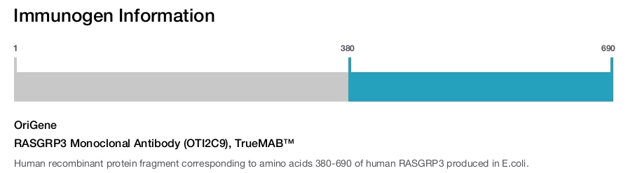 RASGRP3 Monoclonal Antibody (OTI2C9), TrueMAB&trade;