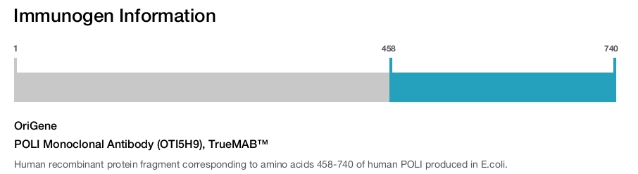 POLI Monoclonal Antibody (OTI5H9), TrueMAB&trade;