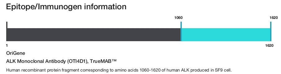 ALK Monoclonal Antibody (OTI4D1), TrueMAB&trade;