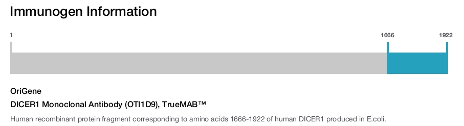 DICER1 Monoclonal Antibody (OTI1D9), TrueMAB&trade;