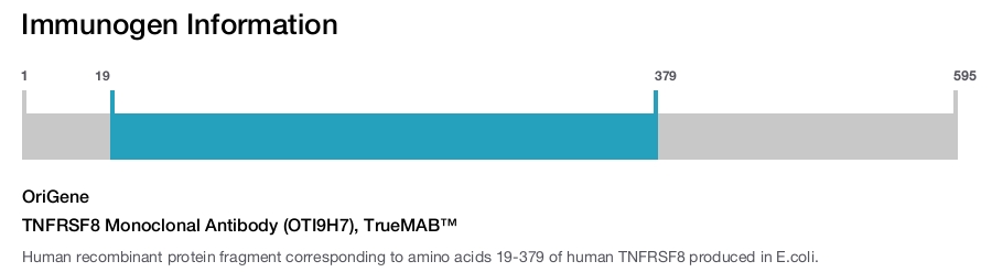 TNFRSF8 Monoclonal Antibody (OTI9H7), TrueMAB&trade;