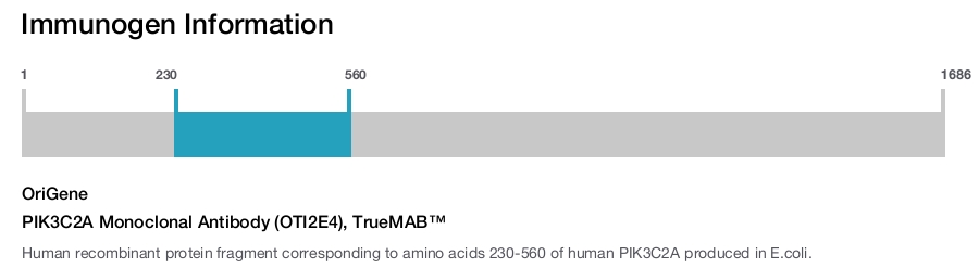 PIK3C2A Monoclonal Antibody (OTI2E4), TrueMAB&trade;