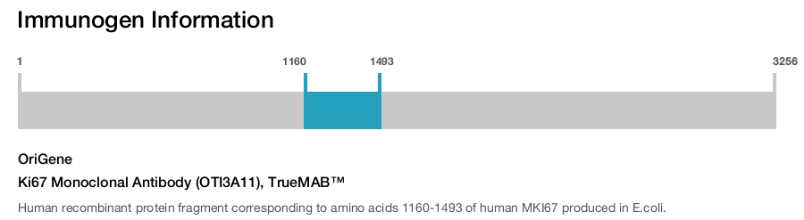 Ki67 Monoclonal Antibody (OTI3A11), TrueMAB&trade;