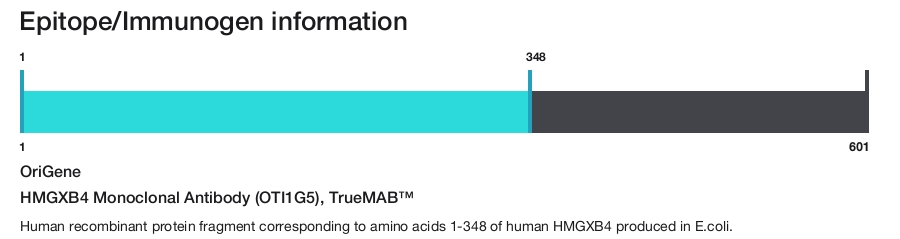 HMGXB4 Monoclonal Antibody (OTI1G5), TrueMAB&trade;