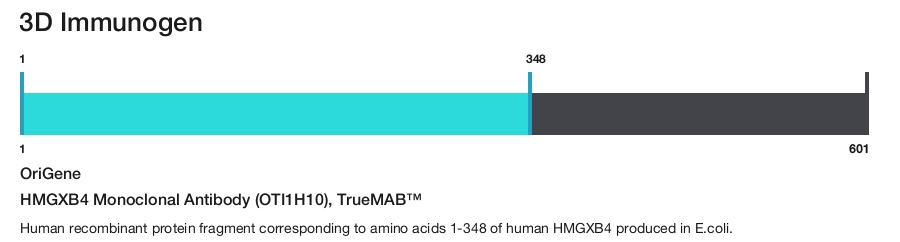 HMGXB4 Monoclonal Antibody (OTI1H10), TrueMAB&trade;