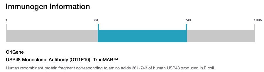 USP48 Monoclonal Antibody (OTI1F10), TrueMAB&trade;