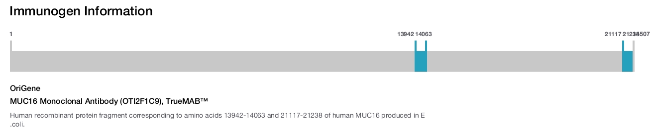 MUC16 Monoclonal Antibody (OTI2F1C9), TrueMAB&trade;
