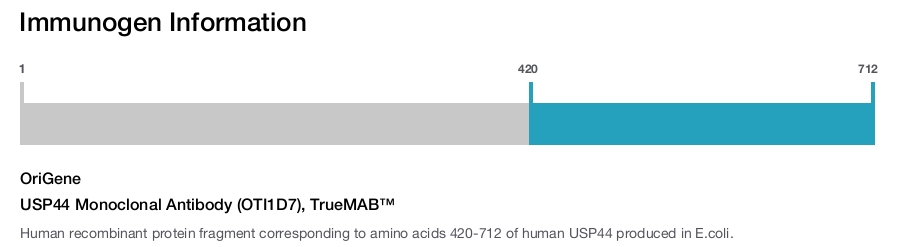 USP44 Monoclonal Antibody (OTI1D7), TrueMAB&trade;