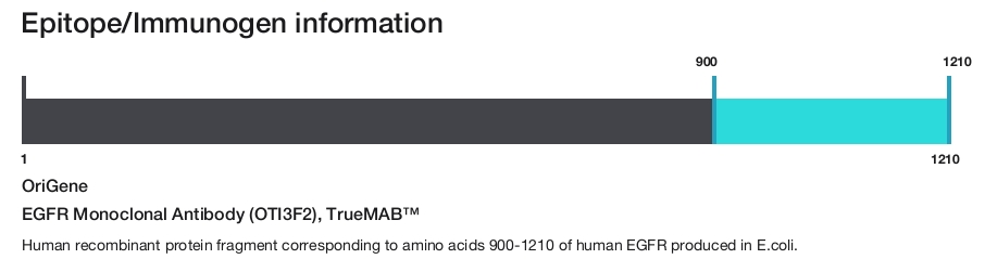 EGFR Monoclonal Antibody (OTI3F2), TrueMAB&trade;