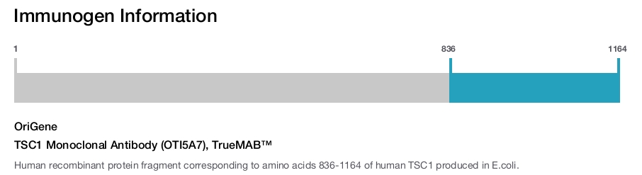 TSC1 Monoclonal Antibody (OTI5A7), TrueMAB&trade;