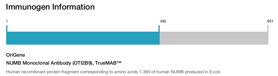 NUMB Monoclonal Antibody (OTI2B9), TrueMAB&trade;