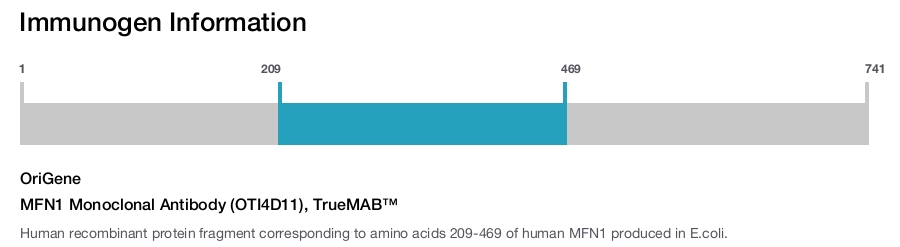 MFN1 Monoclonal Antibody (OTI4D11), TrueMAB&trade;