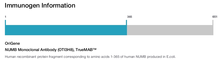 NUMB Monoclonal Antibody (OTI3H8), TrueMAB&trade;