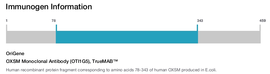 OXSM Monoclonal Antibody (OTI1G5), TrueMAB&trade;