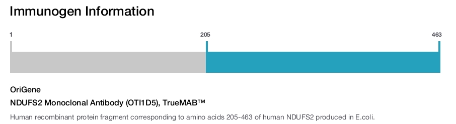 NDUFS2 Monoclonal Antibody (OTI1D5), TrueMAB&trade;