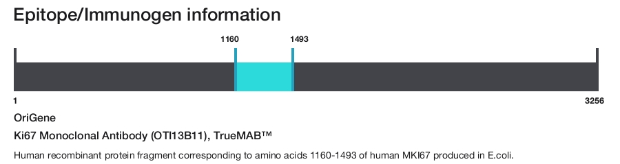 Ki67 Monoclonal Antibody (OTI13B11), TrueMAB&trade;